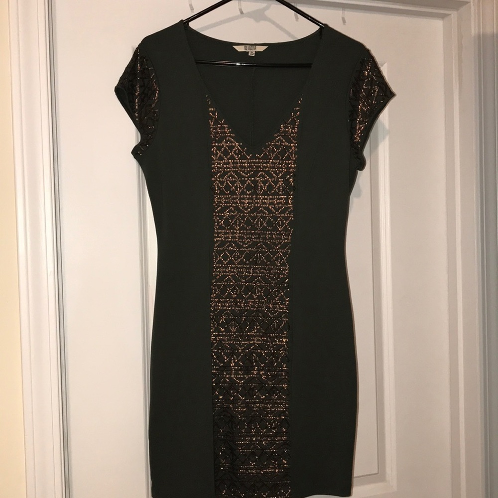 BB Dakota Bodycon Dress